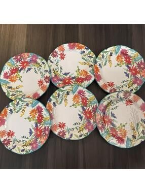 Pier 1 Imports Melamine Plates Field Of Flowers 11" Dinner Salad Plates